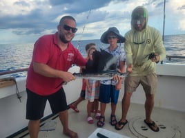 Sailfish Fishing in Panama City, Florida