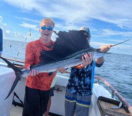 Sailfish Fishing in Panama City, Florida