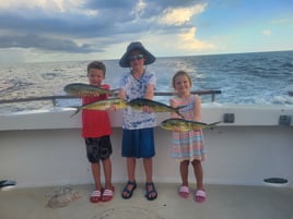 Mahi Mahi Fishing in Panama City, Florida