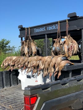 Texas Teal Hunt 🌾🚀