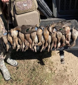 Texas Teal Hunt 🌾🚀