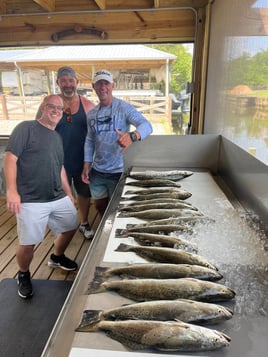 Speckled Trout Fishing in Dauphin Island, Alabama