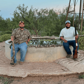 West Texas Weekday Dove Hunt