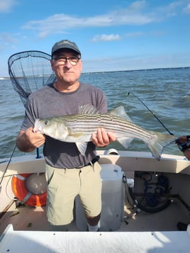 Striped Bass Fishing in Hampton Bays, New York