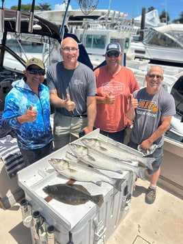 Flounder, Striped Bass Fishing in Hampton Bays, New York