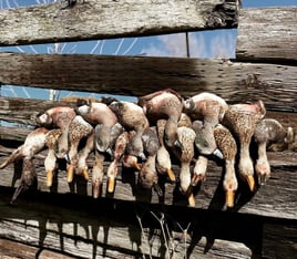 Two Texas water fowl outfitters