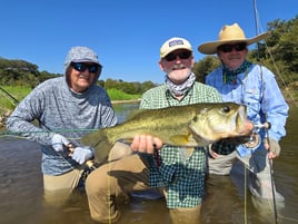 Largemouth Bass Fishing in Aquilla, Texas