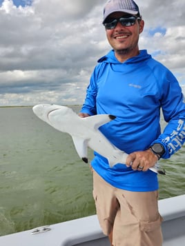 Blacktip Shark Fishing in Matagorda, Texas