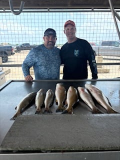 Redfish, Speckled Trout Fishing in Matagorda, Texas