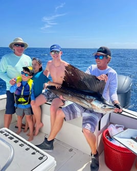 Sailfish Fishing in Key West, Florida