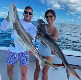 Cobia Fishing in Key West, Florida