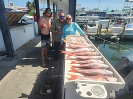 Red Snapper Fishing in Key West, Florida