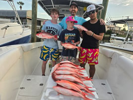 Red Snapper Fishing in Panama City Beach, Florida