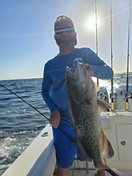 Gag Grouper Fishing in Panama City Beach, Florida