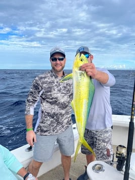 Mahi Mahi Fishing in Islamorada, Florida