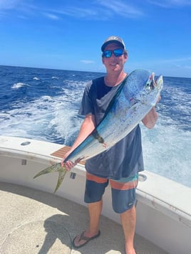 Mahi Mahi Fishing in Islamorada, Florida