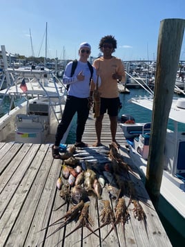 Lobster Fishing in Nassau, The Bahamas