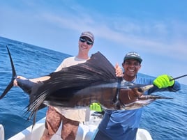 Sailfish Fishing in Puerto Escondido, Mexico