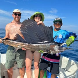 Sailfish Fishing in Puerto Escondido, Mexico