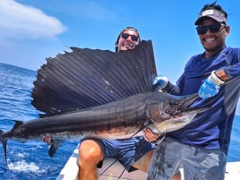 Sailfish Fishing in Puerto Escondido, Mexico