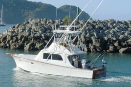 Los Sueños Rooster Fishing Trip Costa Rica