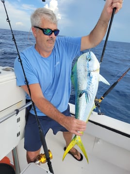 Mahi Mahi Fishing in Key West, Florida