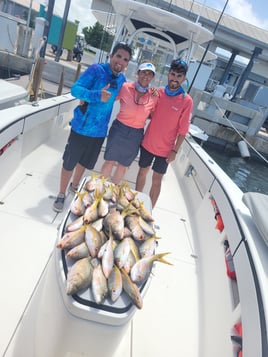 Yellowtail Snapper Fishing in Key West, Florida