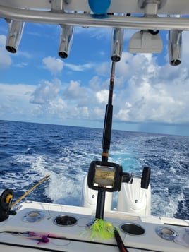 Marquesas Key Fishing Adventure