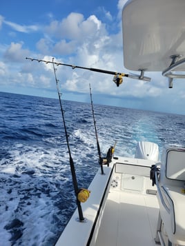 Marquesas Key Fishing Adventure