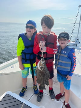 Tripletail Fishing in Bay St. Louis, Mississippi