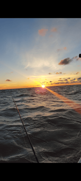 Walleye and Perch Execution