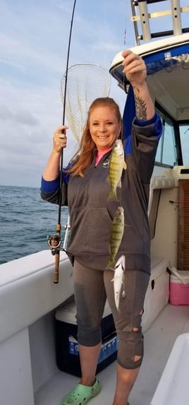 Walleye and Perch Execution