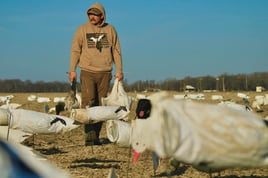 Conservation Goose Hunts w/ Lodging