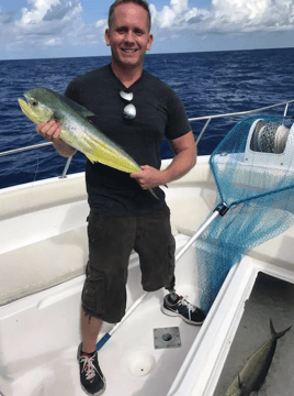 Mahi Mahi Fishing in Orleans, Massachusetts