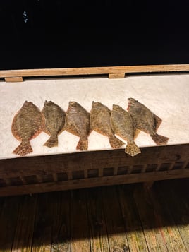 Flounder Fishing in Pass Christian, Mississippi