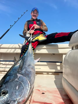 Tuna fishing trips. Midshore Offshore