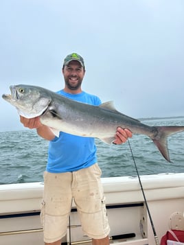 Tuna fishing trips. Midshore Offshore