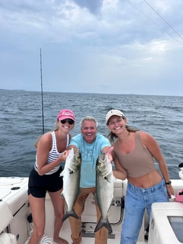 Tuna fishing trips. Midshore Offshore