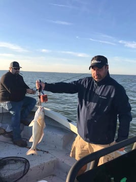 22' Whaler Inshore - Texas City