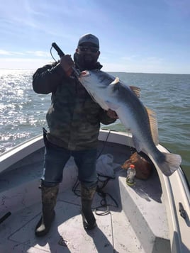 22' Whaler Inshore - Texas City