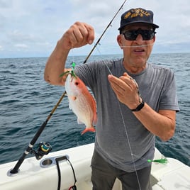 Red Snapper Fishing in Brunswick, Georgia