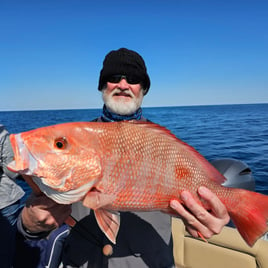 Offshore Reef and  Wreck Fishing