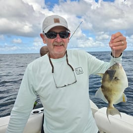 Offshore Reef and  Wreck Fishing