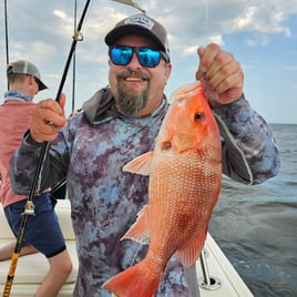 Offshore Reef and  Wreck Fishing