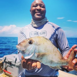 Offshore Reef and  Wreck Fishing