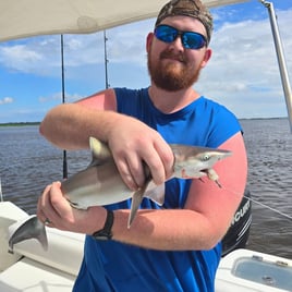 Offshore Reef and  Wreck Fishing