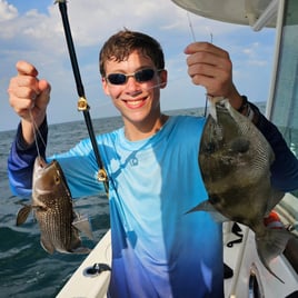 Offshore Reef and  Wreck Fishing