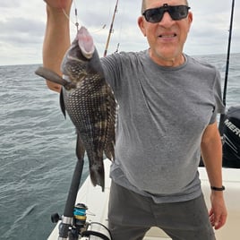 Black Seabass Fishing in Brunswick, Georgia