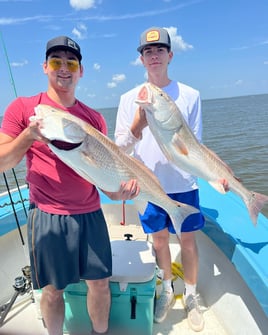 Full Day Trip – Inshore Fishing