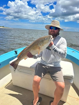 Full Day Trip – Inshore Fishing